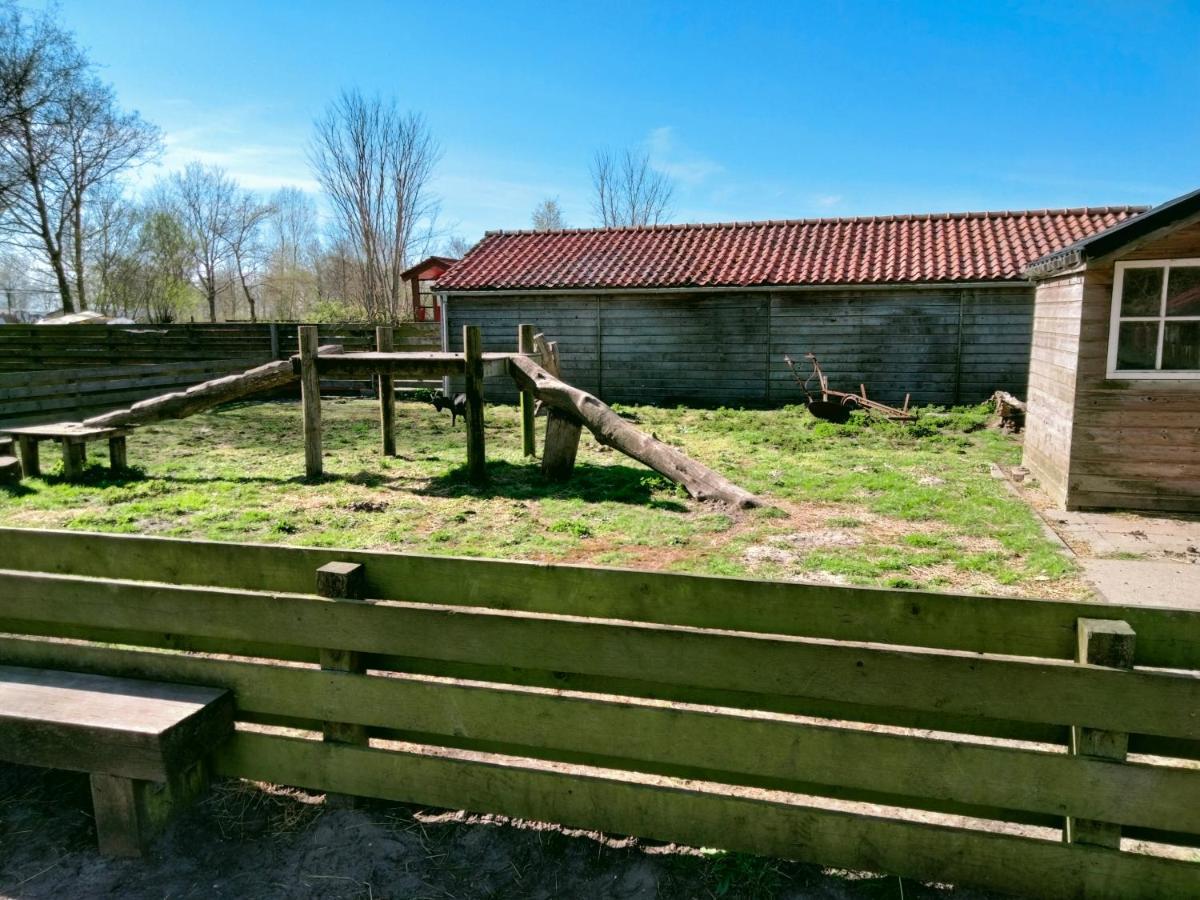 Bj Chalets - Robbengat 68 - Gezellige Chalet Op Vakantiepark Lauwersoog! Vroege Incheck! Экстерьер фото